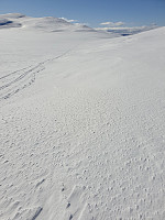 johanne_20210331_6064ae56bd99a.jpg