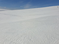johanne_20210413_6075991a62b19.jpg