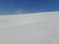 johanne_20210413_6075991adfcc4.jpg