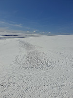 johanne_20210413_6075991b6e971.jpg