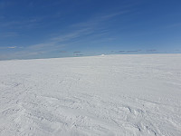 johanne_20210413_6075991e09c7b.jpg