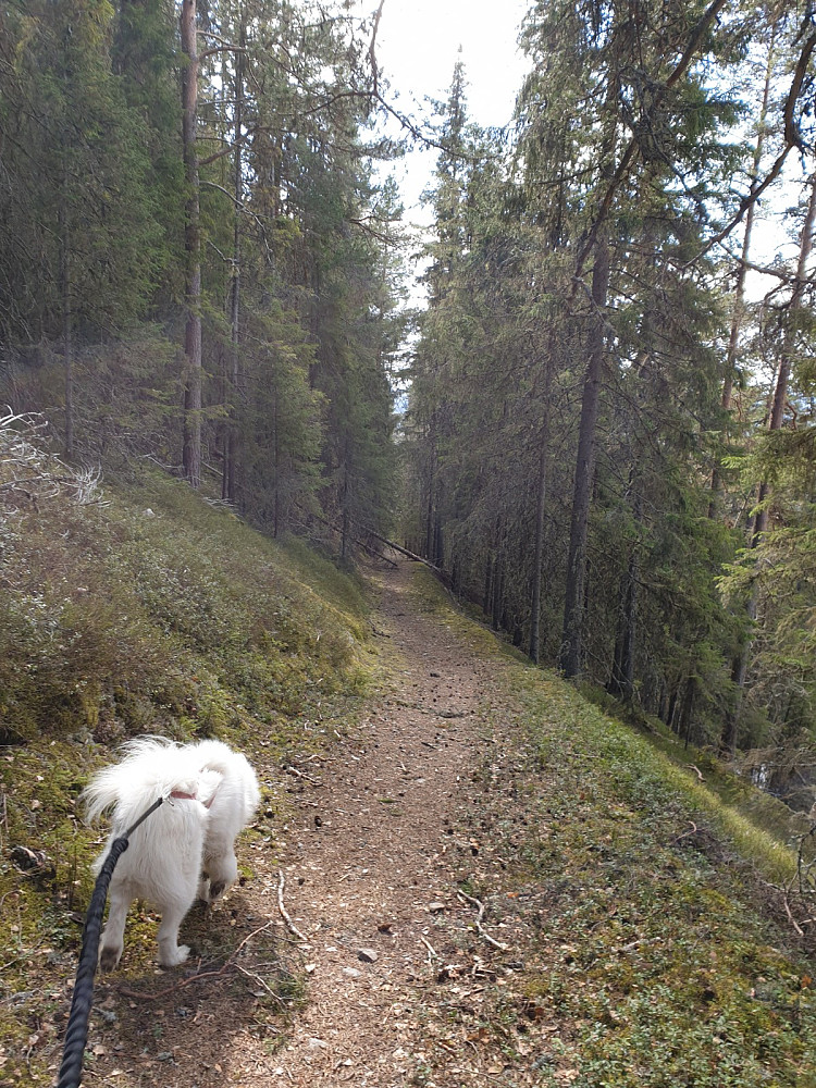 Så dukker vi ned i det lille som er igjen av den idylliske stien!
