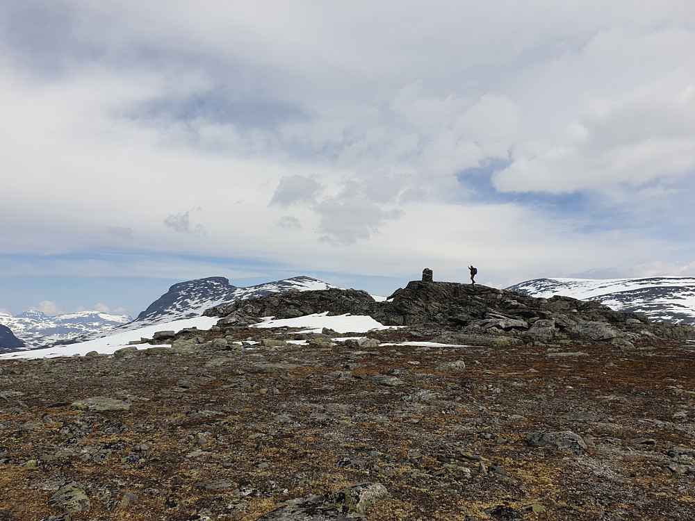Arne nærmer seg toppvarden på Kaldhøe. Artig å treffe på både boltit og snøspurv ved toppen