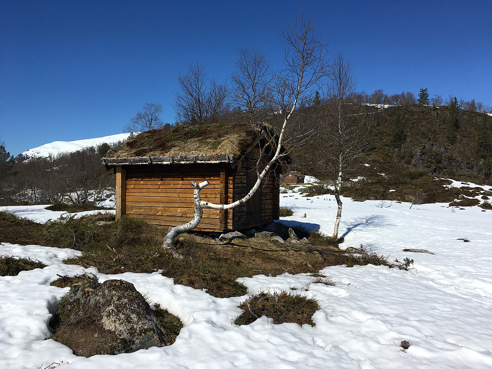Vetestova på Ytrehornsnakken