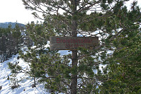 Breisteinsåta 334 moh 150 m øst for Hetlebakksåta