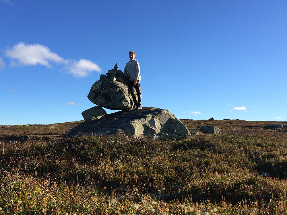 Morsom stein ved Reinsfjelltoppen!