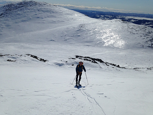 På tur opp Skarvanfjellet - Skogshorn i Bakgrunnen
