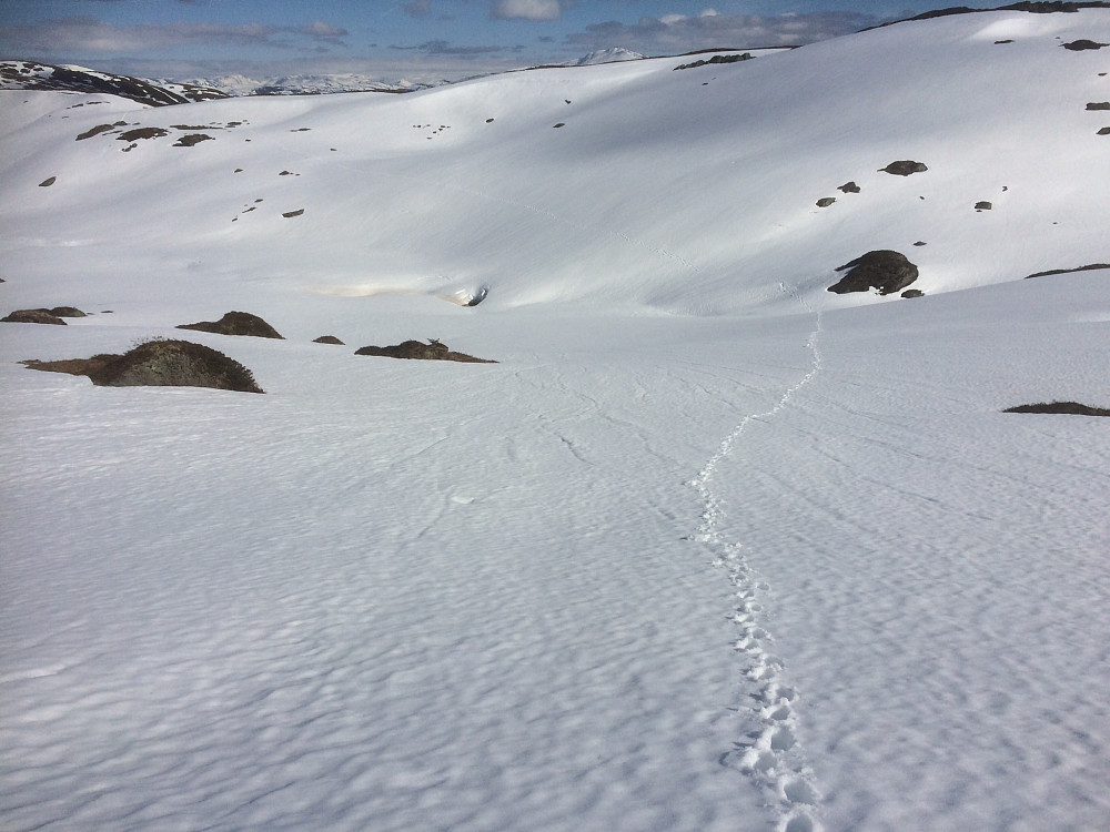 Snøvandring.