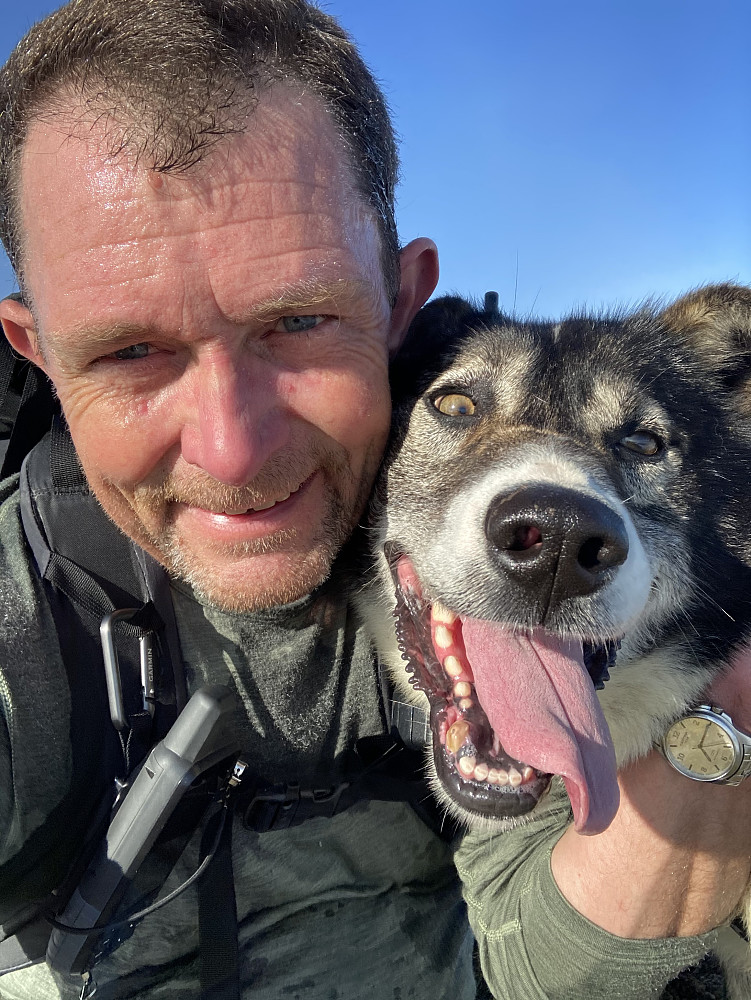 Glad hund