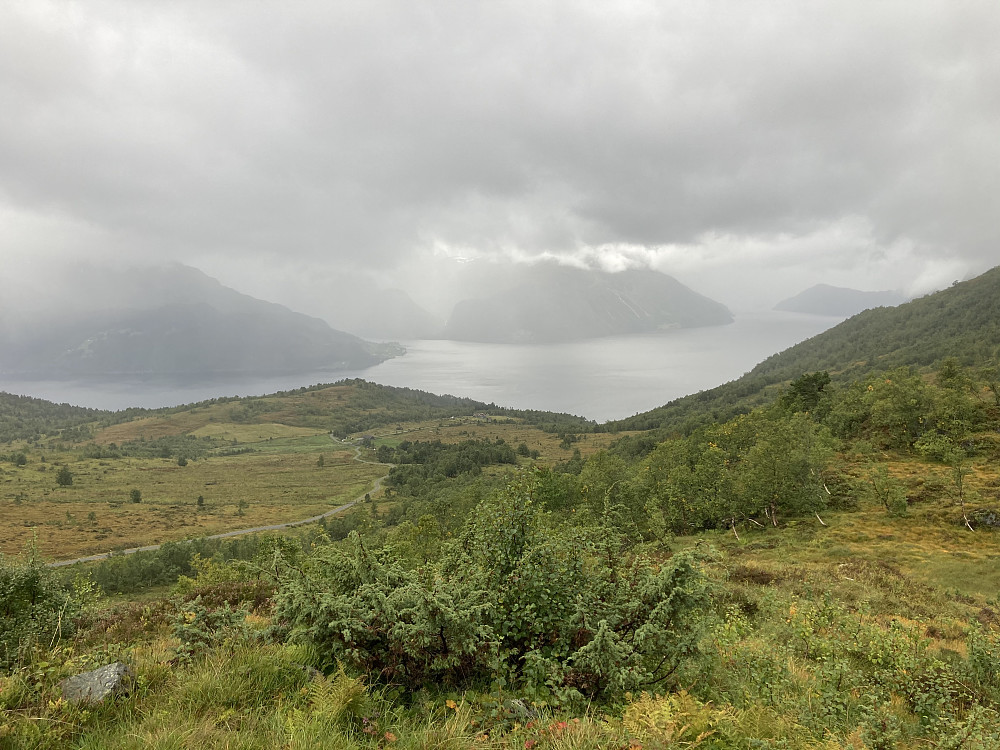 Lotestøylen