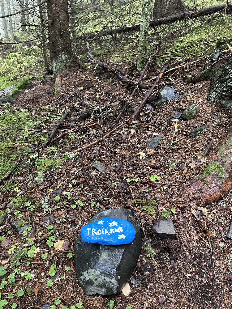 Visdomsord på stien