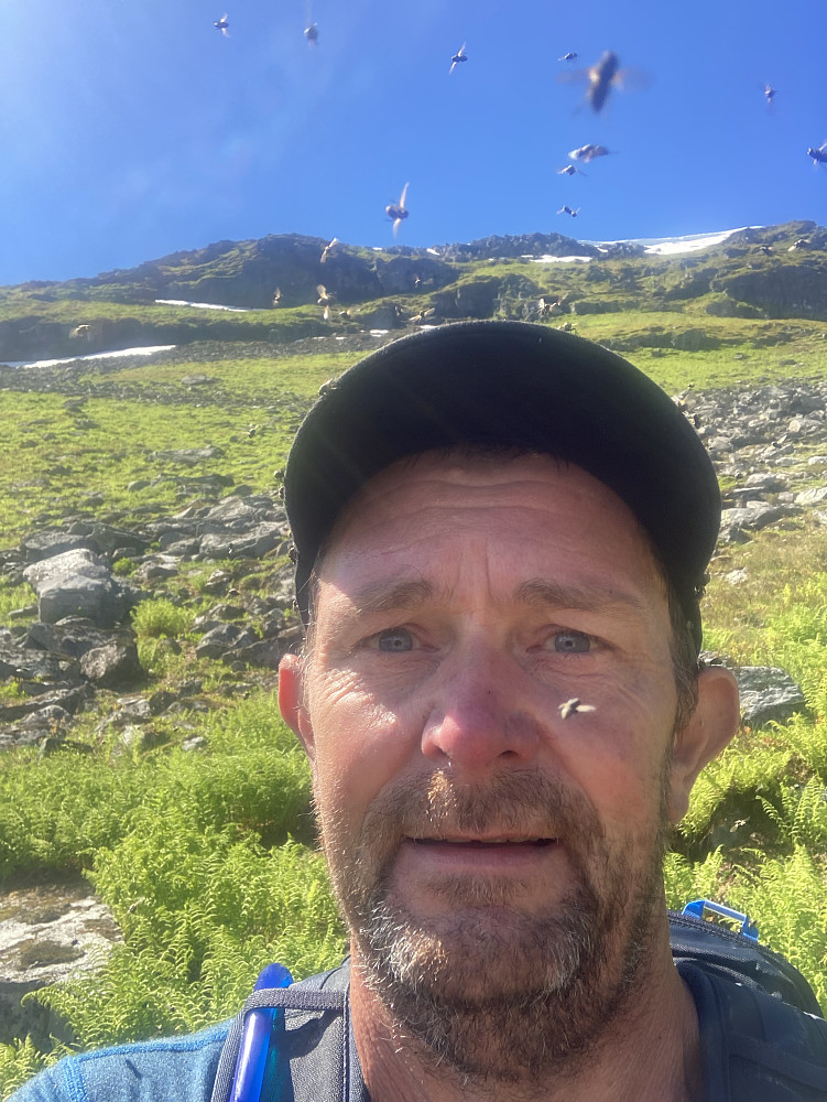 En og annen flue
