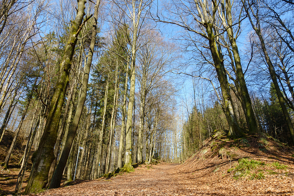 Überwiegend sonnig