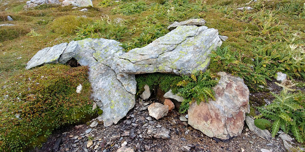 Die Quelle des Rheins? Genau gekommen ist es ein größeres quellgebiet am Hang. Dies ist der höchste Punkt, den ich finden konnte, an dem Wasser fließt.