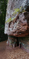 Chris_20190817_5d57a6af237f9.jpg