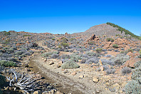 chris_huevos-7.jpg