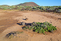chris_lasgalletas-1.jpg