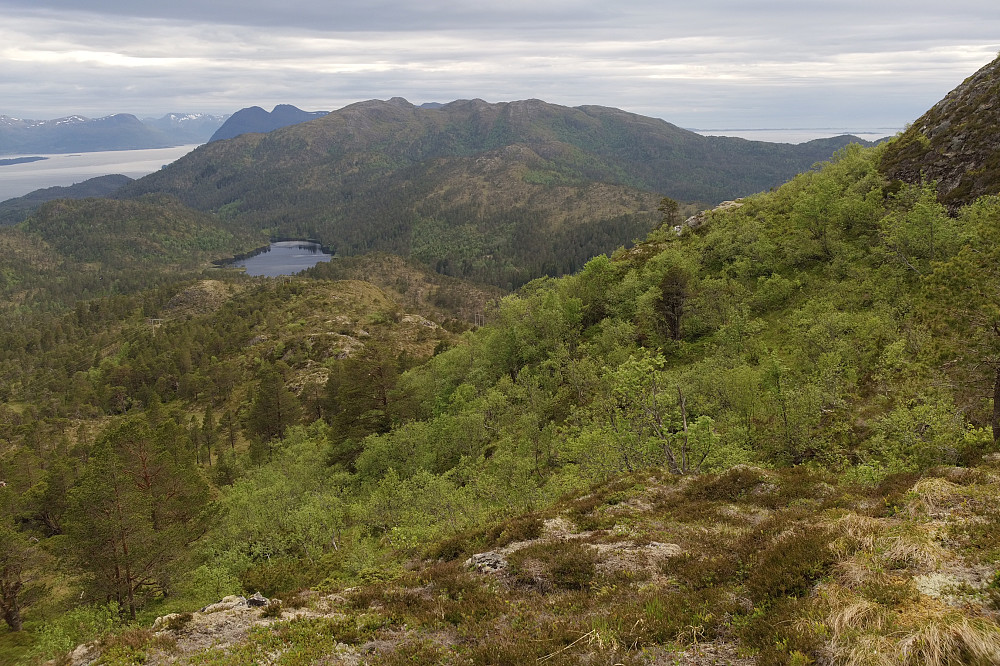 Opp fra Mekdalen mot Arsdalsheia retning vest. Langvatnet og Rishaltheia godt synlig 