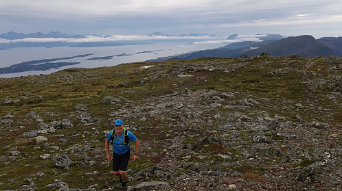 Fra Lønsetfjellet mot sørvest med Molde sentrum nærmest og Blåskjerdingen (1069moh) mot horisonten i det fjerne.