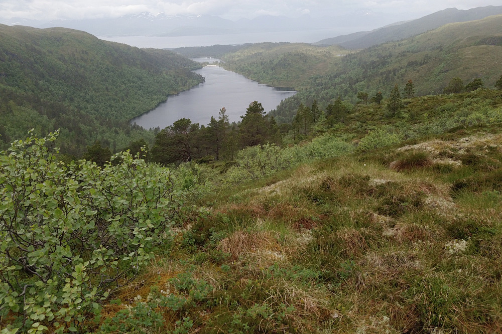 Fra Spikjebogskarfjellet retning sørvest og Bårdsdalsvatnet 