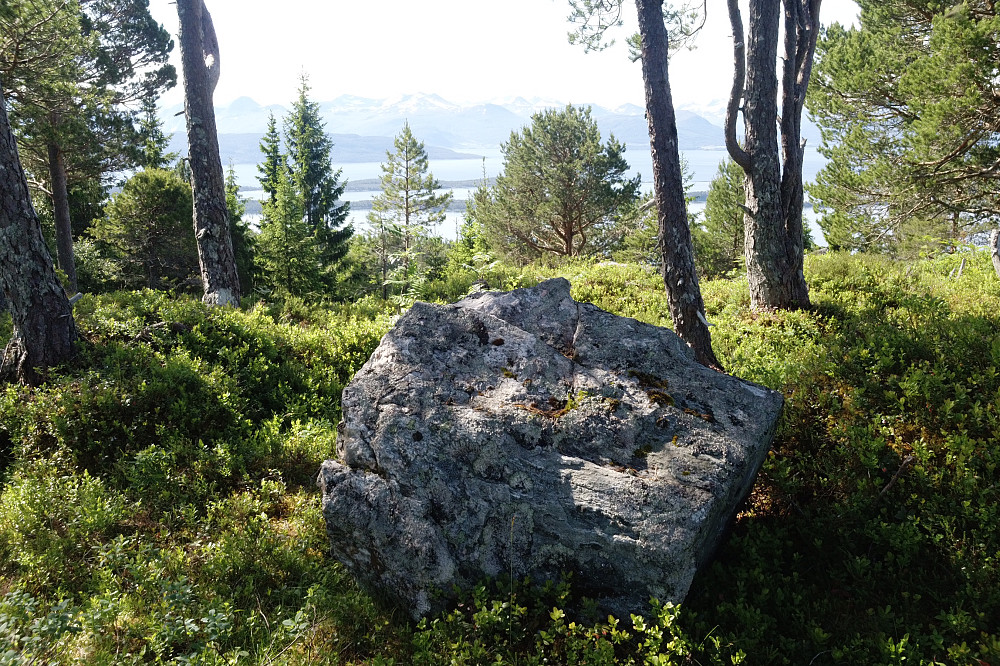 Siste knaus i Moldemarka pf 20 for min del, Jensgurilia.
