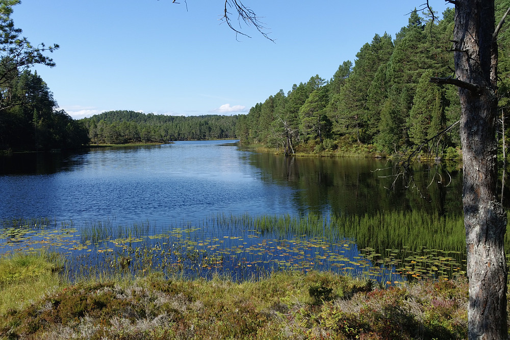 Vestadvatnet midt mellom Tranhaugen og Brendenakken.
