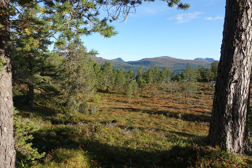 Fra Røviklia retning nord, med Luten og Maifjellet rett fram 