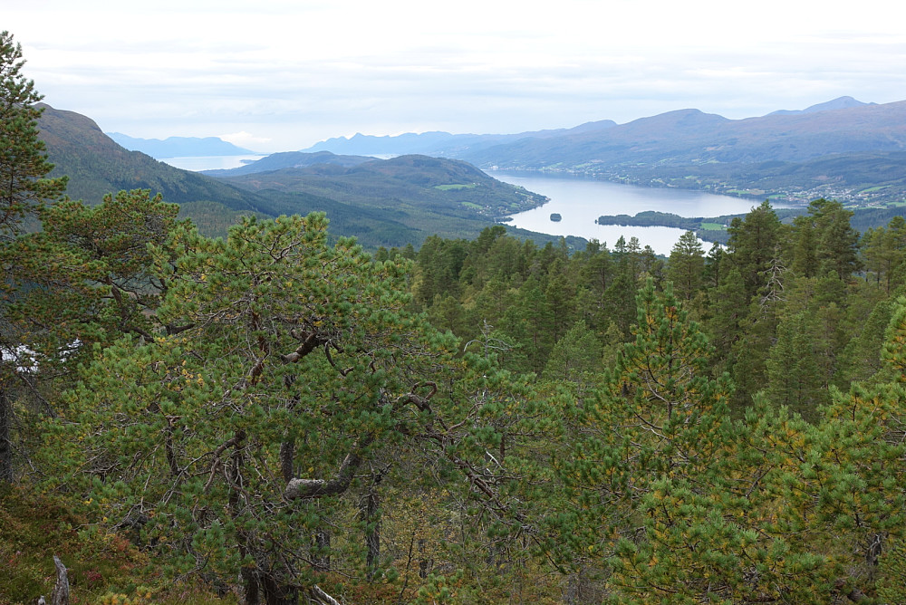 Fra Åfløyfjellet mot Molde med Fannefjorden og Kortgarden nærmest.