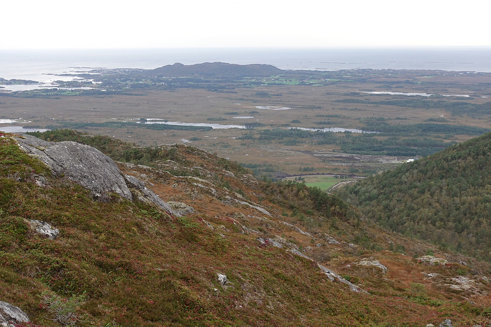 Fra Høglia mot Bud og Gulberget. Mye myr å forsere hvis en skulle ta beina fatt rett fram.