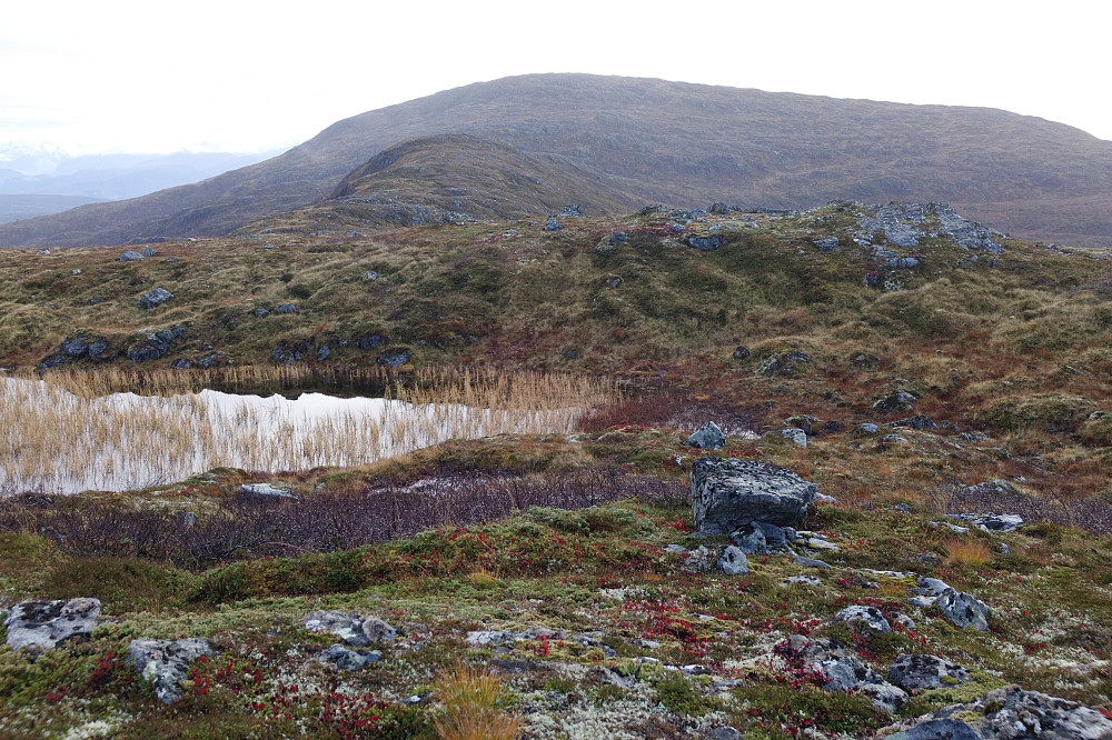 Fra Skårfjellet mot Hytterørin og Lønsetfjellet bakerst.