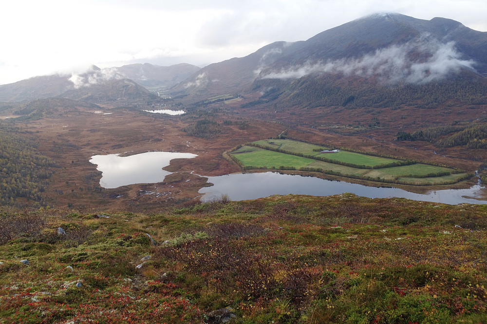 Fra Skårfjellet mot Skaret. Vi ser Kringla og Gunilla i front og et fargerikt fellesbeite. I tillegg ser vi i bakgrunn bl.a. Urdfjellet, Julskartind, Røsholfjellet og Såta.