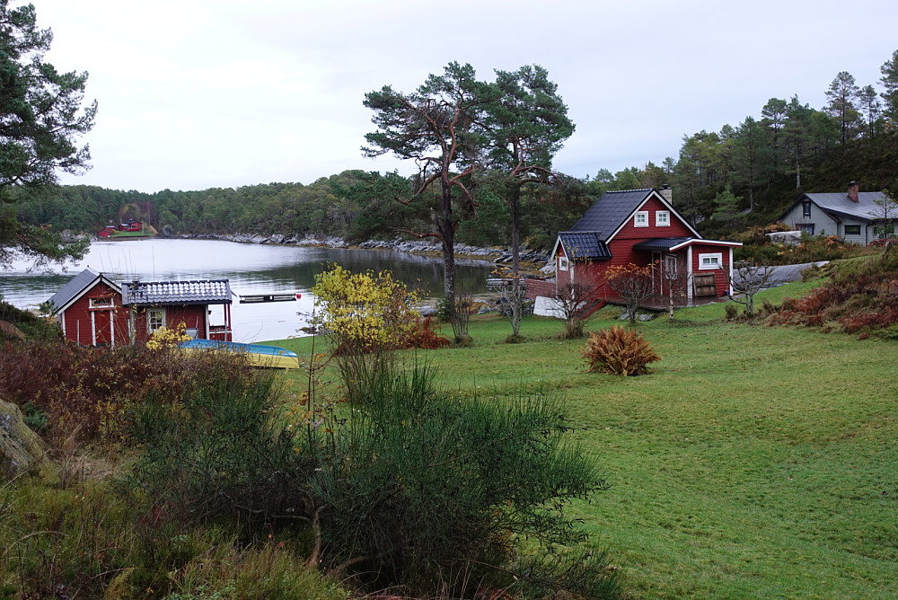 Islandvågen, turens høydepunkt. Idyllisk plass sjøl på en grå og kjølig novemberdag.