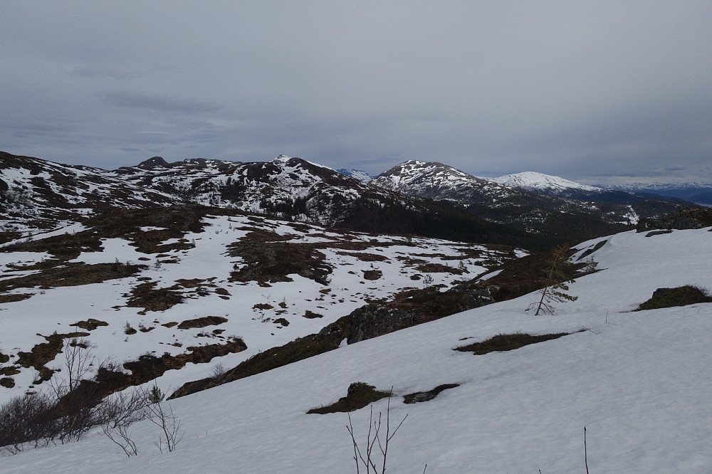 Fra Sjennarheia mot øst. Nærmest Tjønndalsheia. I bakgrunnen ser vi bl.a. Såta, Skolmelia, Urfjellet, Moldeheia,Stortussen, Snøtind,Tusten og Lønsetfjellet.