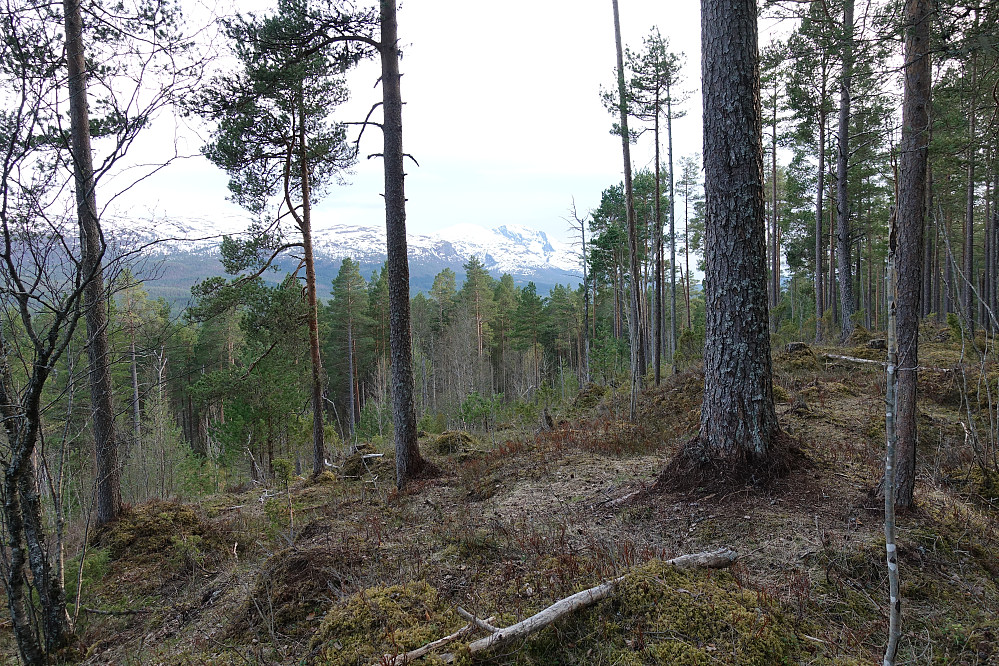 Fra Aspolåsen retning Skåla.