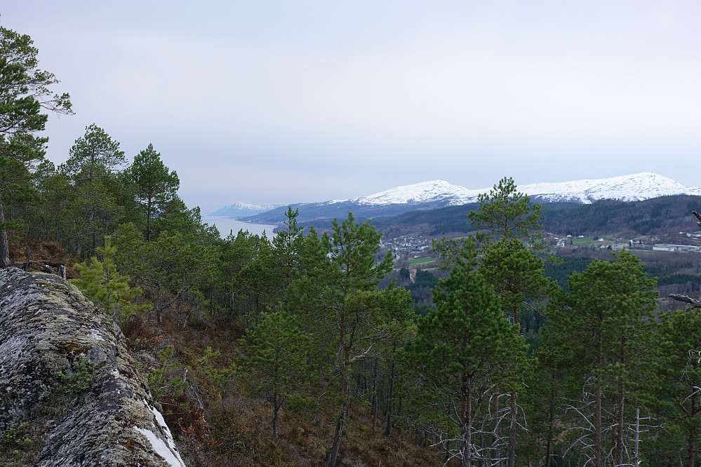 Fra nordsiden av Høgåsen rett vest og utover Fannefjorden.  