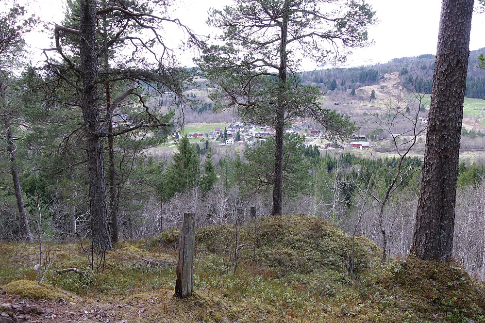 Opdølshaugen, middels utsikt men man kan skimte Kloppafjellet i horisonten mot nord.