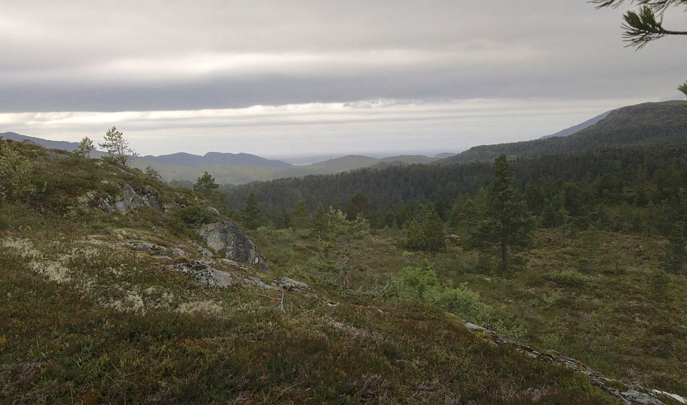 Litt grått idag og frisk vind. Mest lys i ytre, her med Gossa i det fjerne.