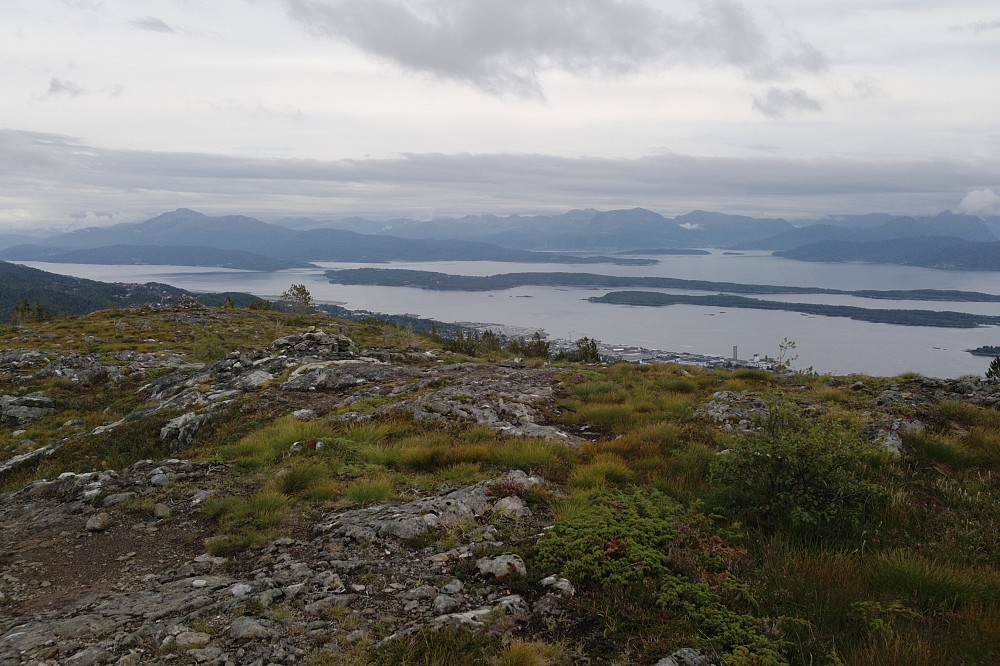 Grått idag, men Moldemarka leverer uansett. Her fra Sjennarheia.