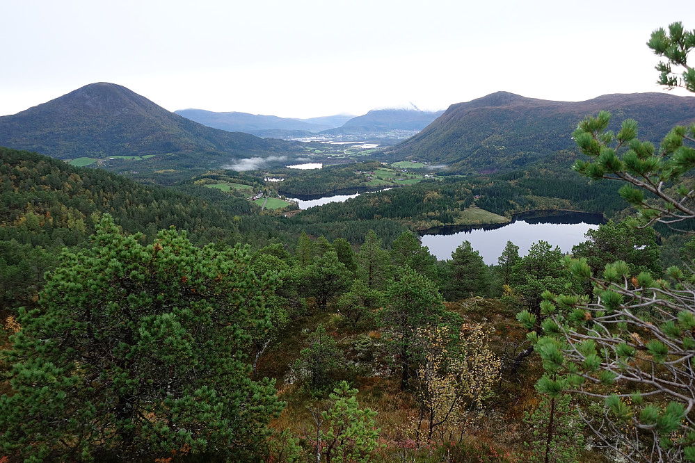 Fra Prestseterhaugen mot Jendemsfjellet og Valltua.