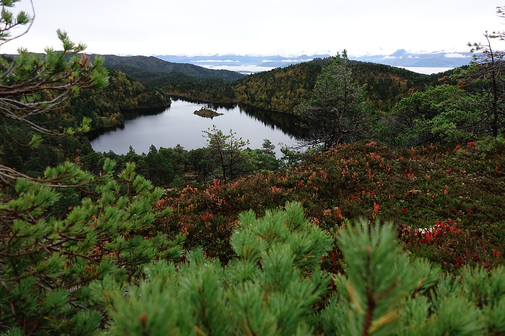Storskarhaugen vest med Kryssvatnet.