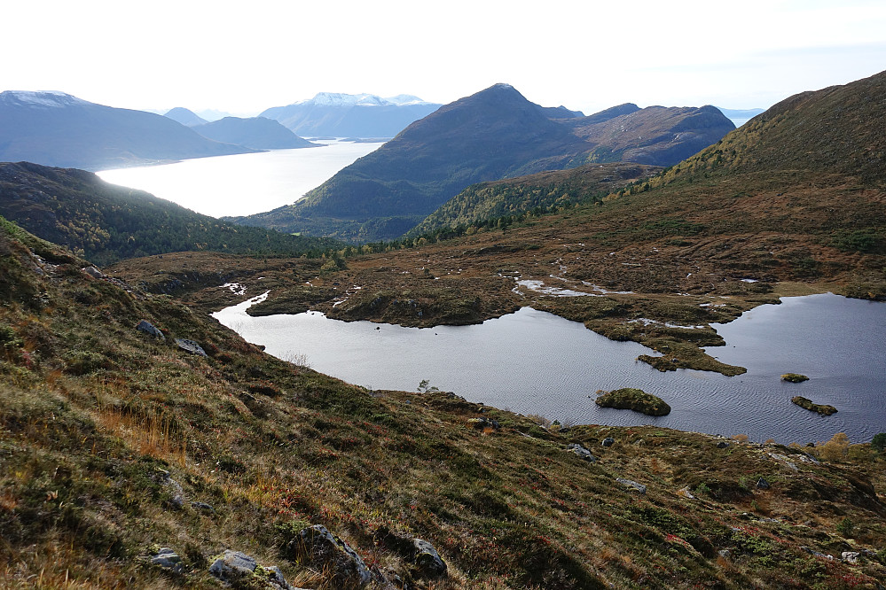 Lomtjørna, midt i mellom Foksåta og Skåla (607moh). Ukjente perler på rad og rekke ute på denne øya.