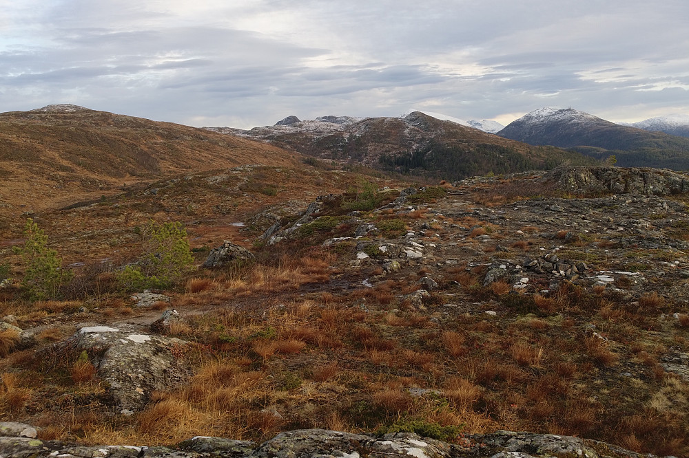 Fra Sjennarheia. Fremdeles dårlig skiføre i Moldemarka.