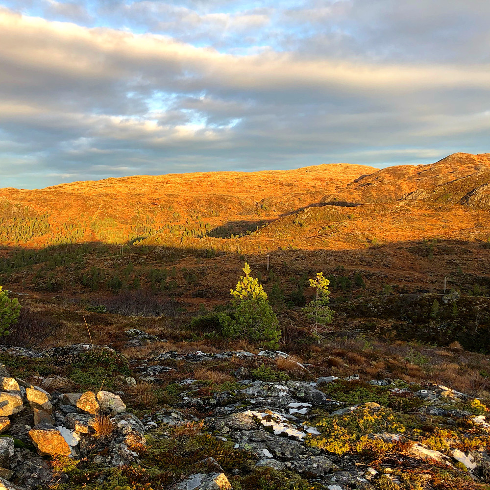 Fra Tjønndalsheia retning Arsdalsheia og Seterfjellet.
