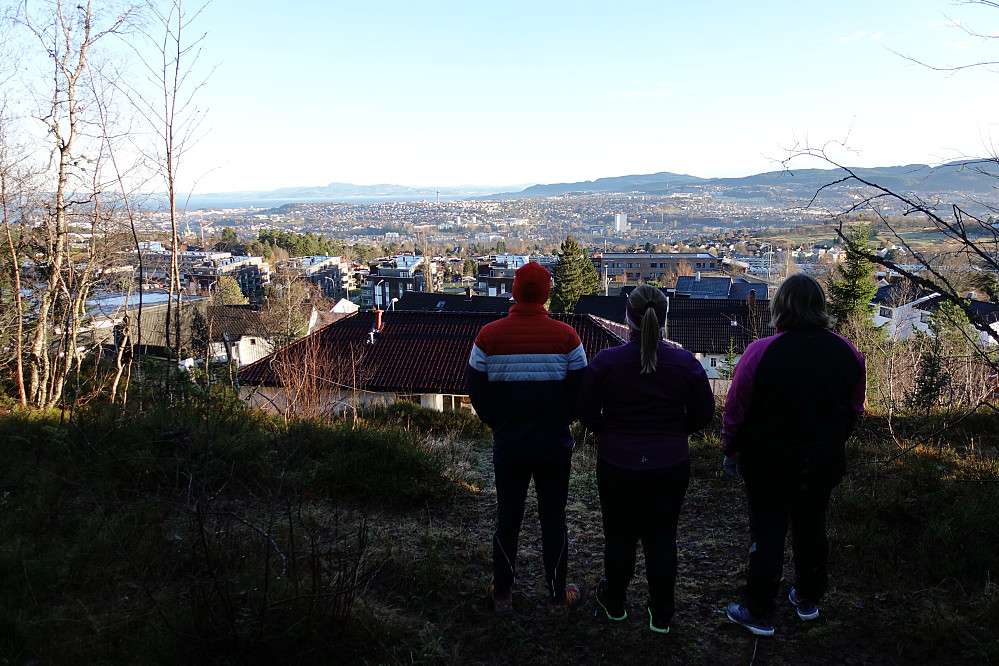 Utsikt fra Dalhaugen mot Trondheim sentrum