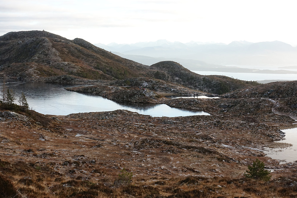 Fine forhold i marka, frossen grunn og mye folk. Her Audunstjørnan og Moldeheia.