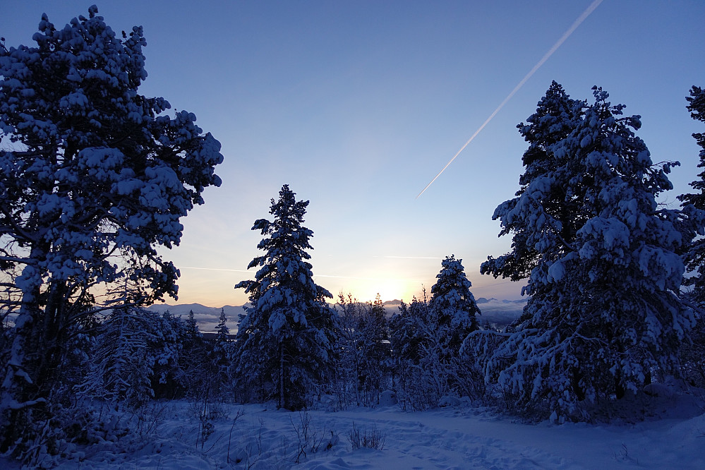 Alltid noe eget når vinterlyset er på vei mot dag.