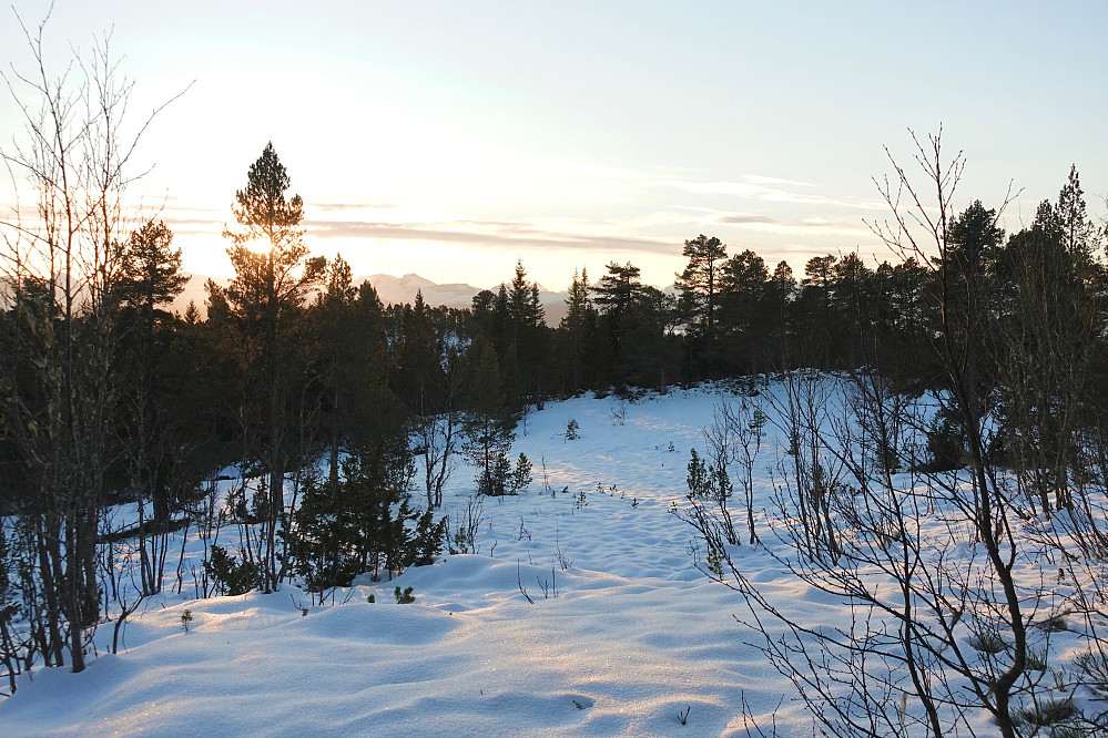 Fra Moldegårdshaugen