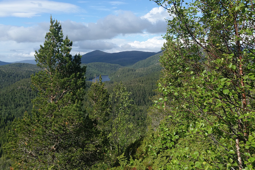 Fra Kringstadnakken retning Valltua.