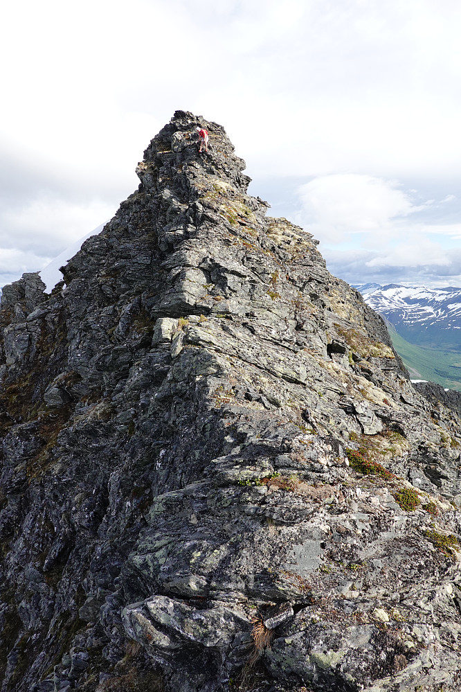 Eggen fra Dyrdalstinden er frisk og fin.