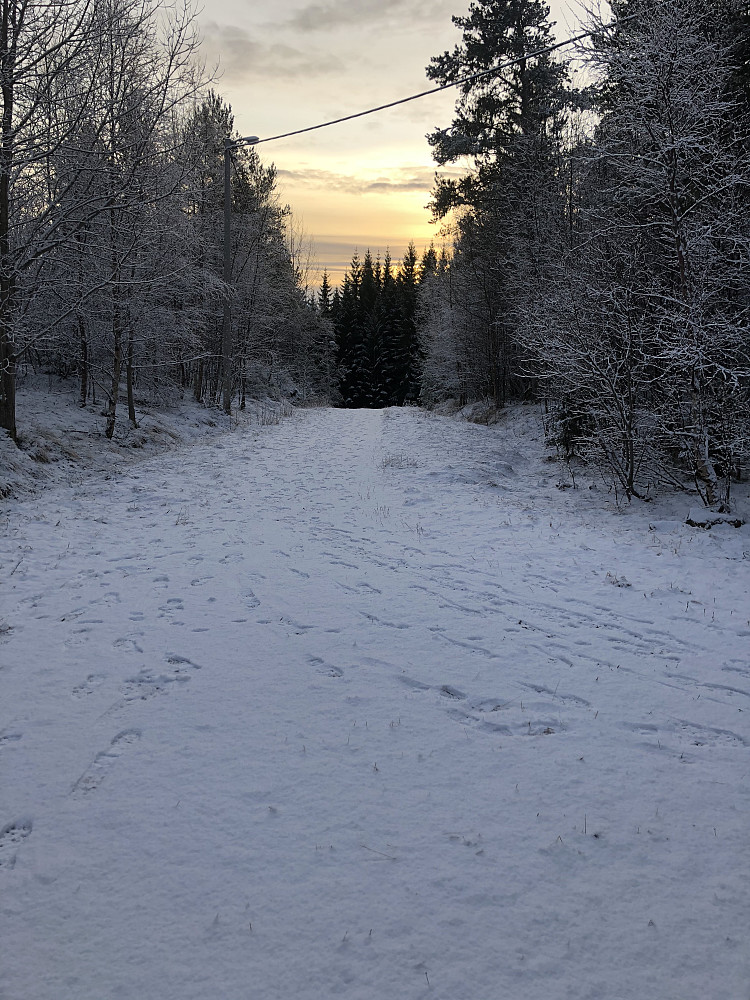 Fersk nysnø, dårlig skiføre.